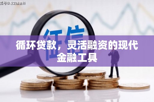 漾濞循环贷款，灵活融资的现代金融工具