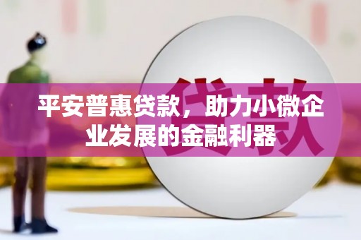 漾濞平安普惠贷款，助力小微企业发展的金融利器