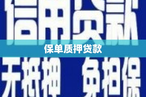 漾濞保单质押贷款