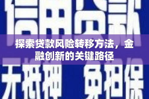 漾濞探索贷款风险转移方法，金融创新的关键路径