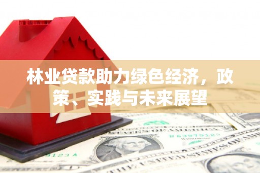 漾濞林业贷款助力绿色经济，政策、实践与未来展望