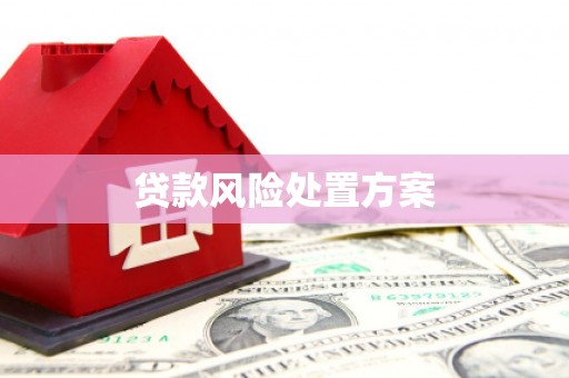 漾濞贷款风险处置方案
