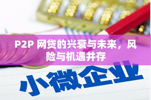 漾濞P2P 网贷的兴衰与未来，风险与机遇并存