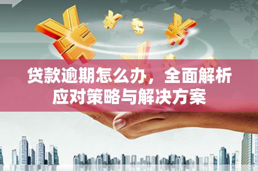 漾濞贷款逾期怎么办，全面解析应对策略与解决方案