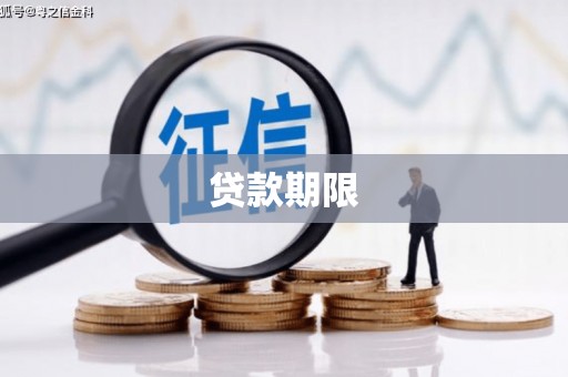 漾濞贷款期限