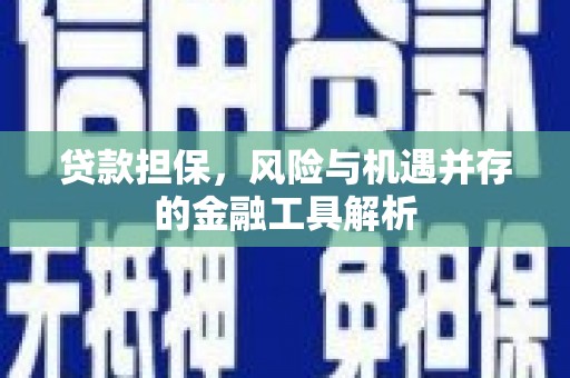 漾濞贷款担保，风险与机遇并存的金融工具解析
