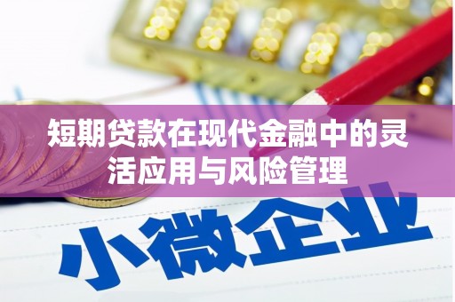 漾濞短期贷款在现代金融中的灵活应用与风险管理