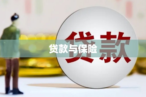 漾濞贷款与保险