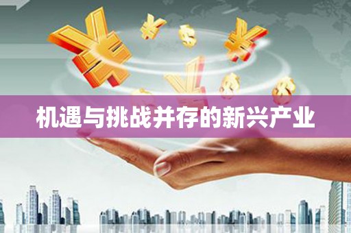 漾濞机遇与挑战并存的新兴产业