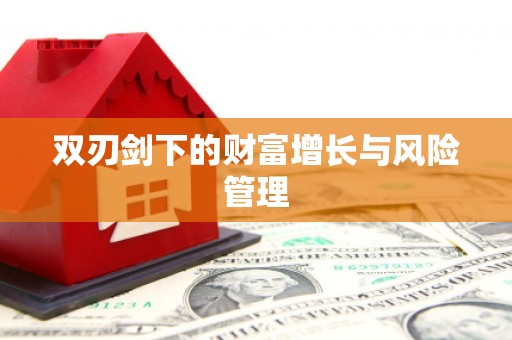 漾濞双刃剑下的财富增长与风险管理