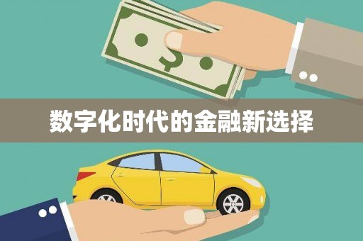 漾濞数字化时代的金融新选择