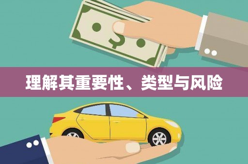 漾濞理解其重要性、类型与风险