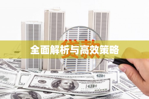 漾濞全面解析与高效策略