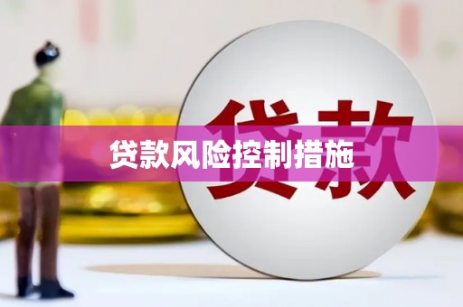 漾濞贷款风险控制措施