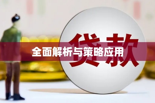 漾濞全面解析与策略应用
