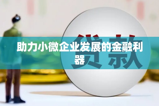 漾濞助力小微企业发展的金融利器