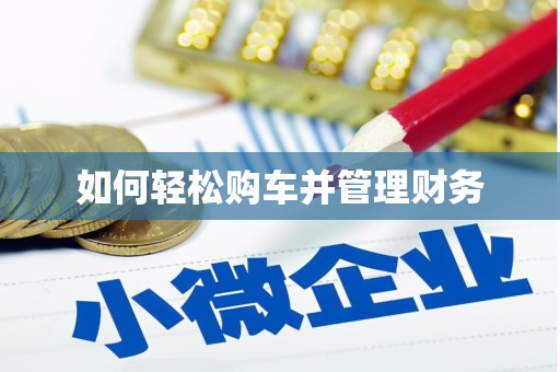 漾濞如何轻松购车并管理财务