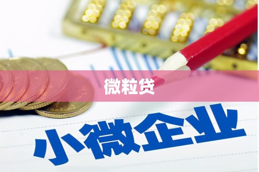 漾濞微粒贷