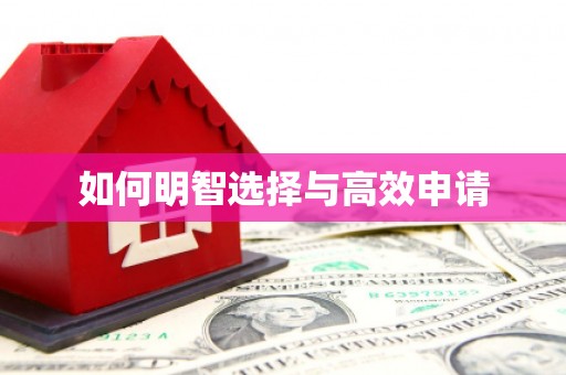 漾濞如何明智选择与高效申请