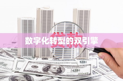 漾濞数字化转型的双引擎