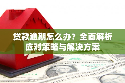 漾濞贷款逾期怎么办？全面解析应对策略与解决方案