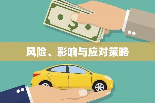 漾濞风险、影响与应对策略