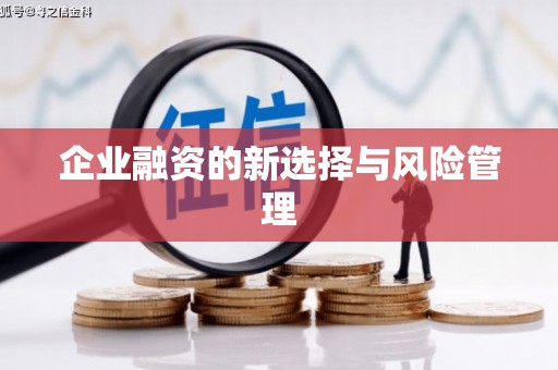 漾濞企业融资的新选择与风险管理