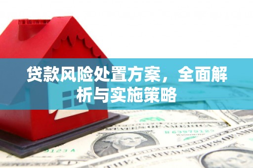 漾濞贷款风险处置方案，全面解析与实施策略