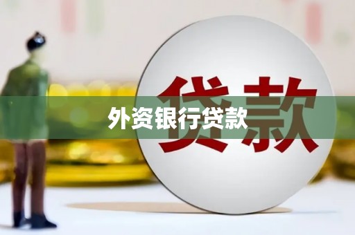 漾濞外资银行贷款