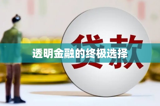 漾濞透明金融的终极选择
