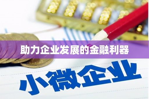 漾濞助力企业发展的金融利器