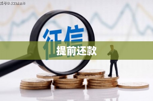 漾濞提前还款