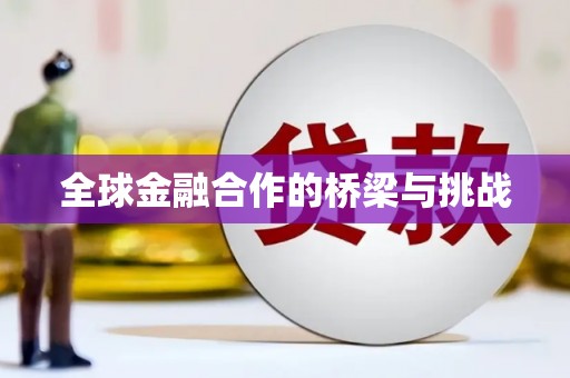 漾濞全球金融合作的桥梁与挑战