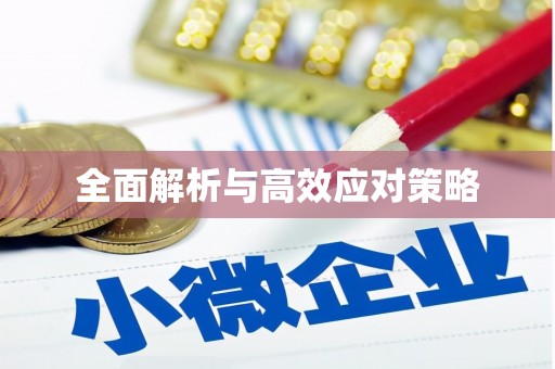 漾濞全面解析与高效应对策略