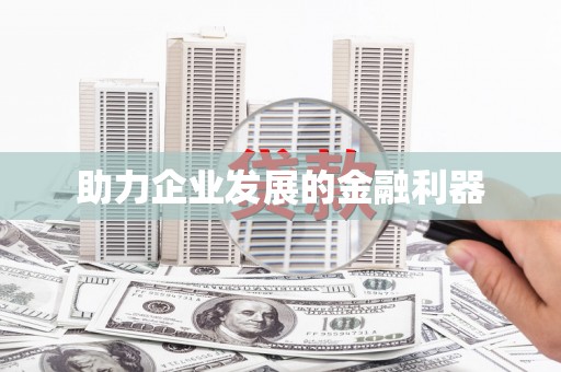 漾濞助力企业发展的金融利器
