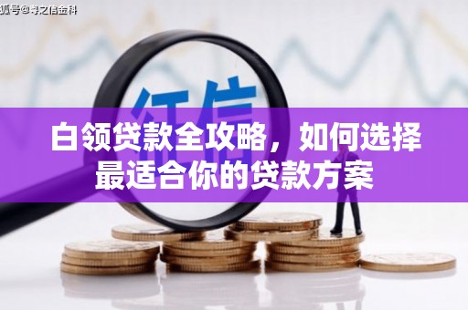 漾濞白领贷款全攻略，如何选择最适合你的贷款方案