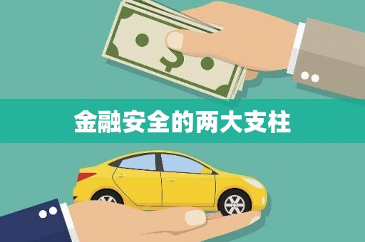 漾濞金融安全的两大支柱