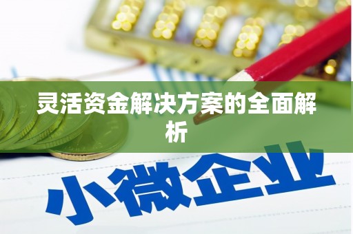 漾濞灵活资金解决方案的全面解析