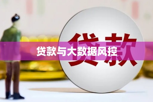 漾濞贷款与大数据风控