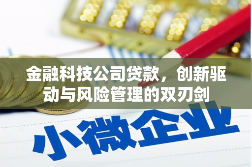 漾濞金融科技公司贷款，创新驱动与风险管理的双刃剑